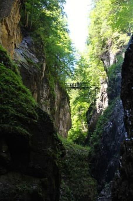 Spacious Starnberg Condo Next To Munich エクステリア 写真